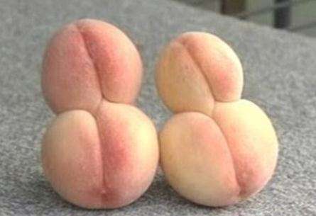 日核事故患癌复发,福岛县核事故怎么回事?