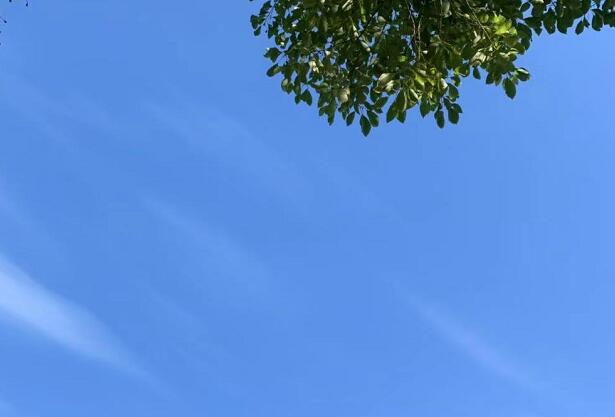 ������ҫ�й�ÿ�¸���,������ҫ�й��ôʺþ���Ҫ����