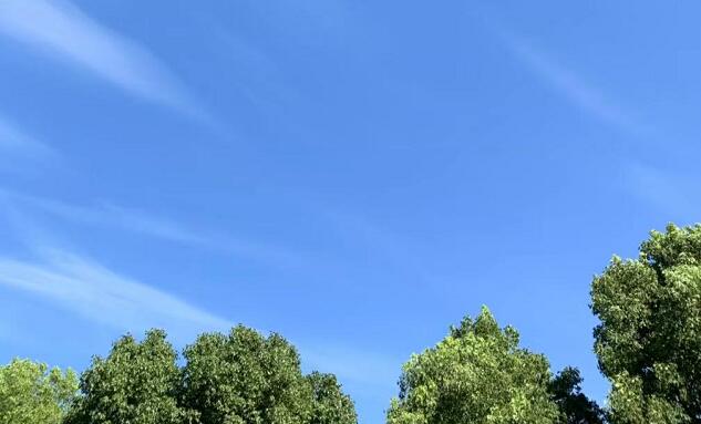 韩国必买清单及价格表,韩国超级传播推迟开学