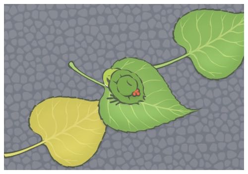 13�һ��������Թ�11.5��Ԫ