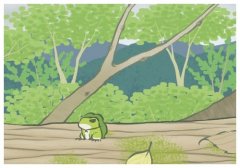 ���о����������øı�Ů�Թ���,ҽ�������Ѫ��������Ͷ̥